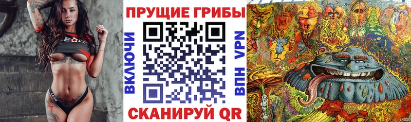 Псилоцибиновые грибы GOLDEN TEACHER  Старый Крым 